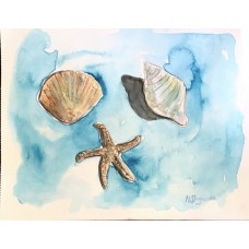 Seashells — Original Watercolor Painting by Marina Stognieva | Crimea | Picturesque Guide to Ukraine Seashells — Original Watercolor Painting by Marina Stognieva | Crimea | Picturesque Guide to Ukraine